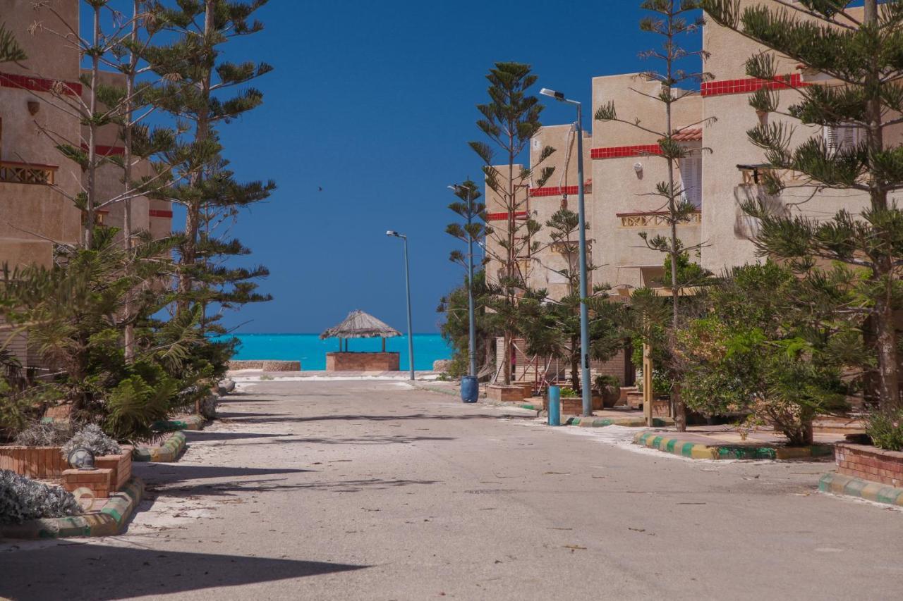 Villas Petro Beach Ελ Αλαμέιν Εξωτερικό φωτογραφία