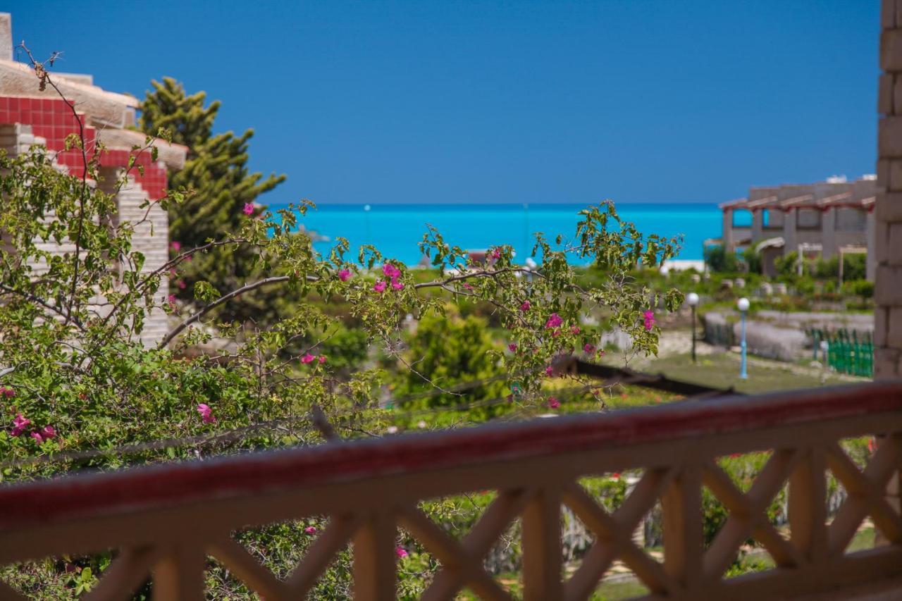 Villas Petro Beach Ελ Αλαμέιν Εξωτερικό φωτογραφία