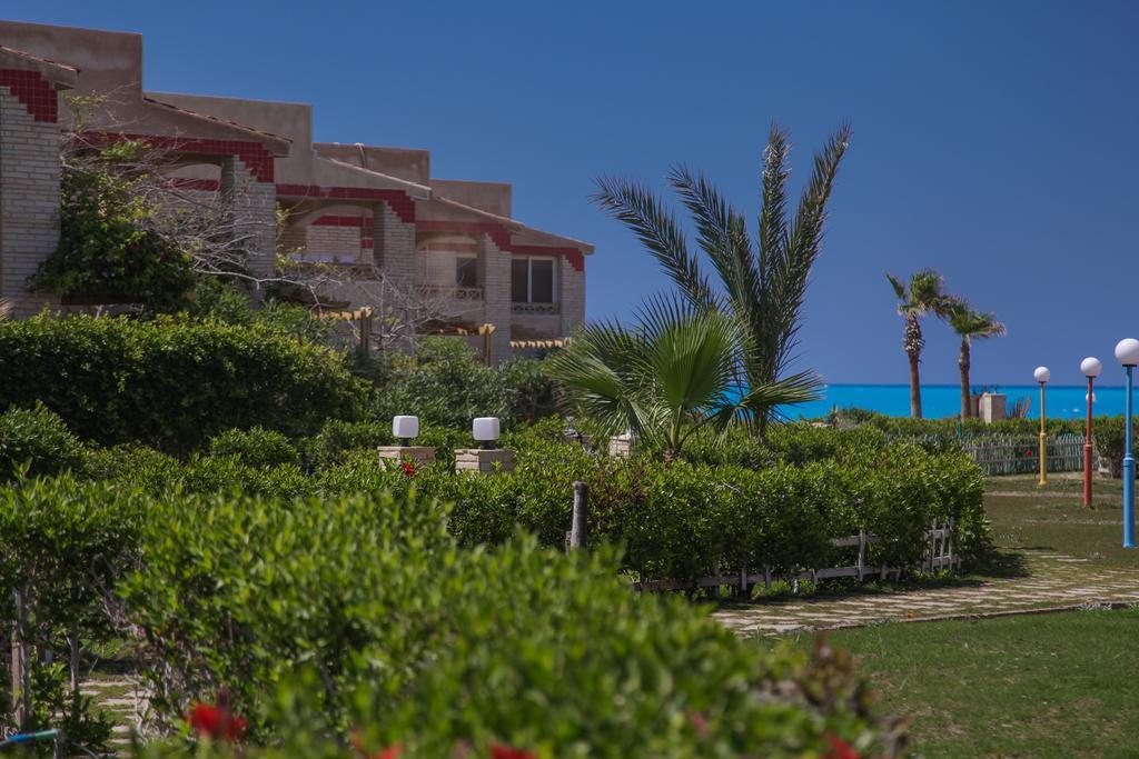 Villas Petro Beach Ελ Αλαμέιν Εξωτερικό φωτογραφία