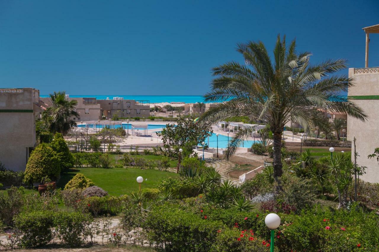 Villas Petro Beach Ελ Αλαμέιν Εξωτερικό φωτογραφία