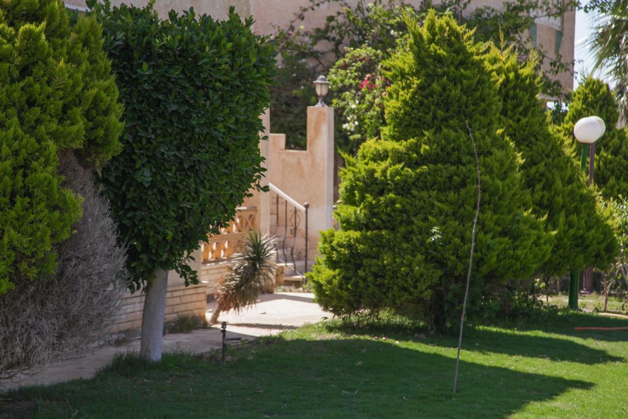 Villas Petro Beach Ελ Αλαμέιν Εξωτερικό φωτογραφία
